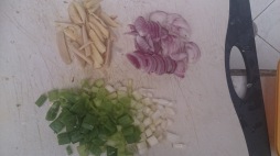 onion leeks, ginger and onion